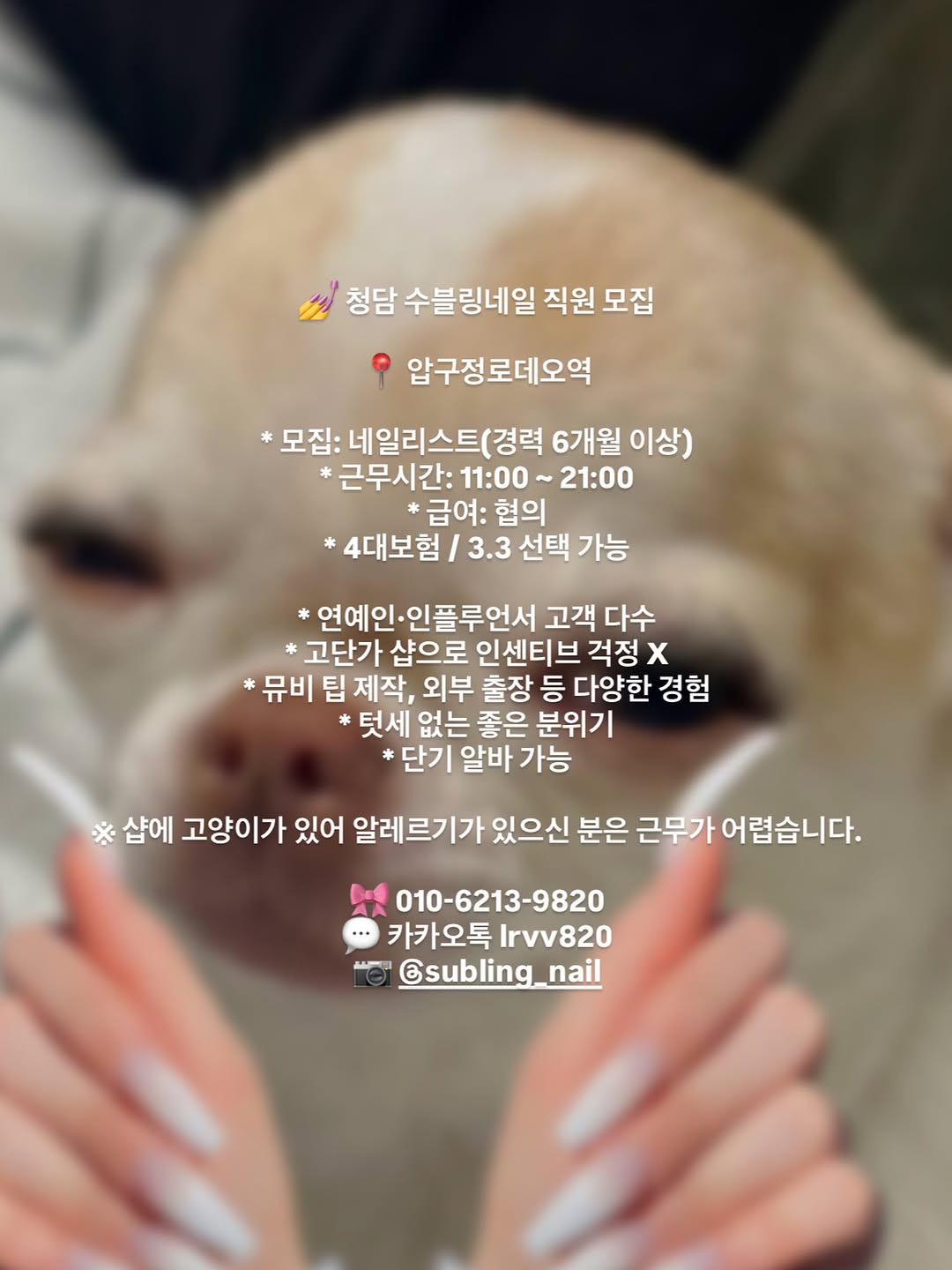 Instagram 韓國 韓文 知識 post thumbnail