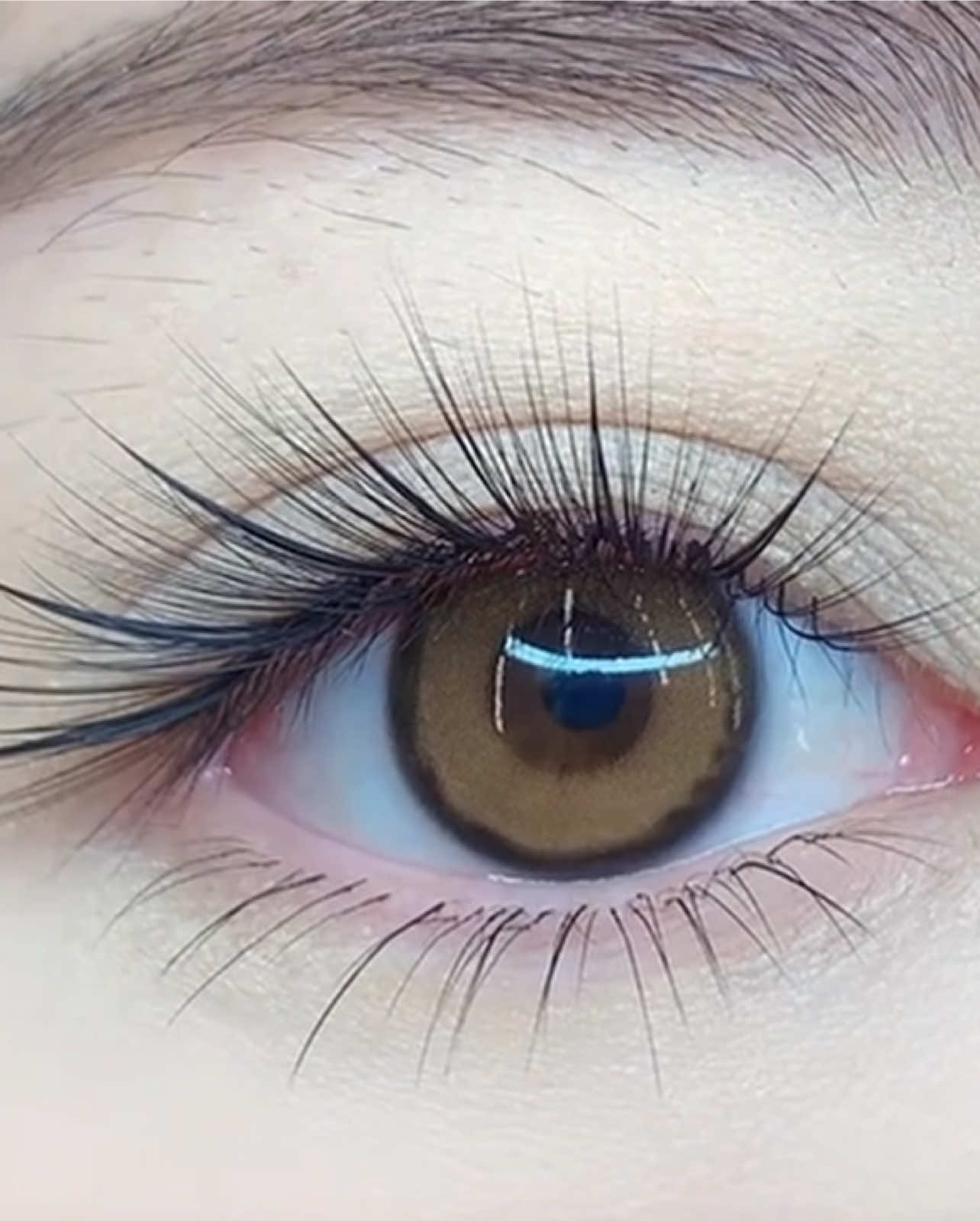 抖音/TikTok 台灣 其他 美睫 post thumbnail